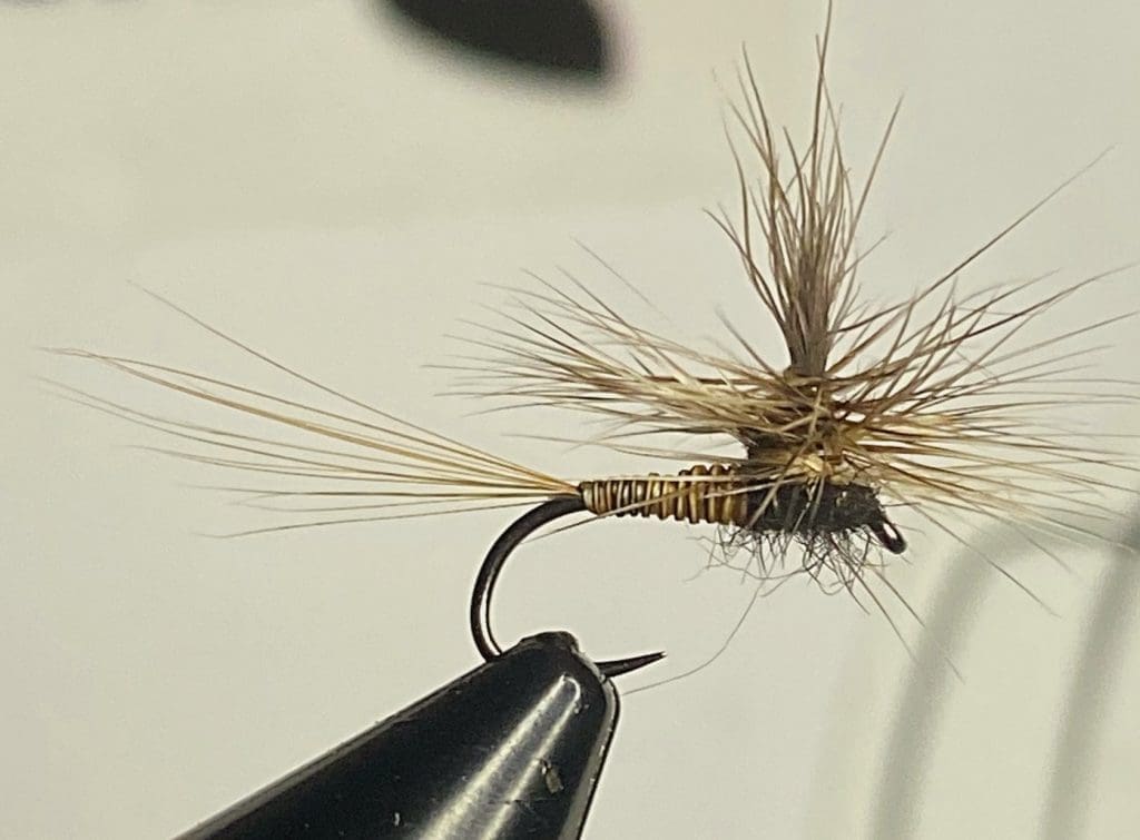 Mayfly fly on Little Red River hook