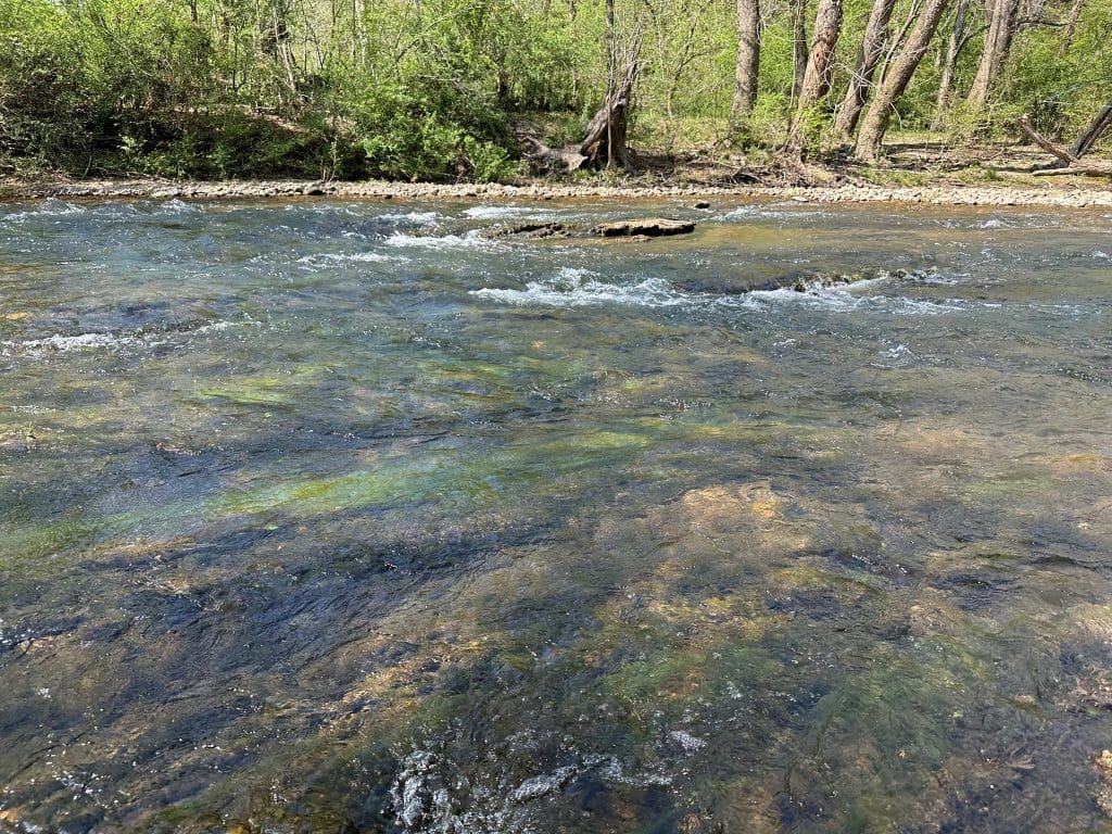 Saline River Fly Fishing