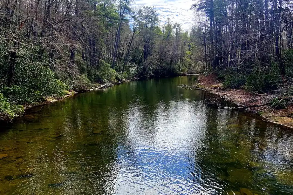 Arkansas Fly Fishing Report