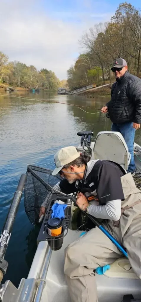Rainbow trout caught fly fishing on the Little Red River in Arkansas