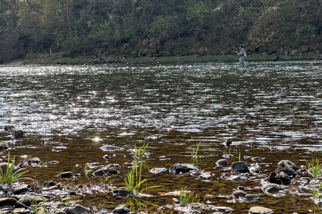 Saline River smallmouth bass fly fishing arkansas e1773665619288