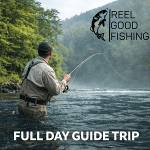 Full Day Guided Fly Fishing Trip Near Little Rock