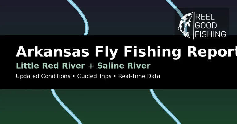Done — I added your logo to the featured image. ? [Download the version with your logo](sandbox:/mnt/data/featured_with_logo.png) For upload, use: **File name** `arkansas-fly-fishing-report-little-red-saline-logo.png` **Alt text** `Arkansas fly fishing report for Little Red River and Saline River by Reel Good Fishing`
