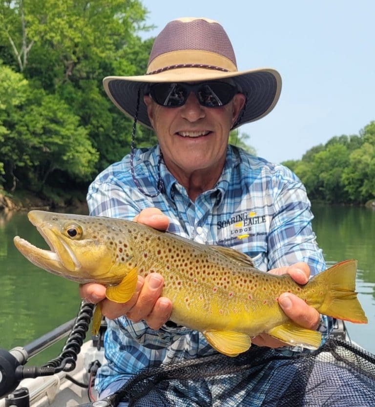 Brown Trout caught on the Little Red River with Little Red River fly Fishing Guide Arkansas