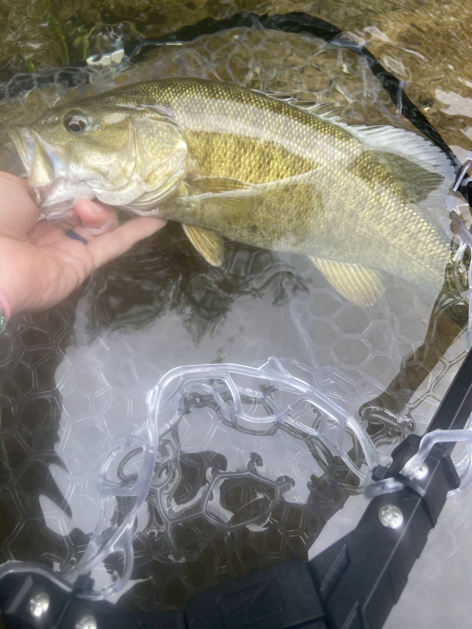 Saline River Smallmouth Bass Fly Fishing: 5 Tips for Catching More Bass 2 Saline River Smallmouth Bass Fly Fishing in Central Arkansas