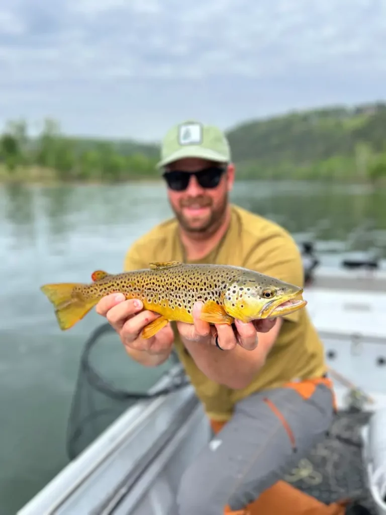 White River Brown Trout 2